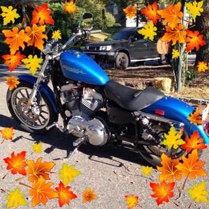 Meet your Posher, Diane